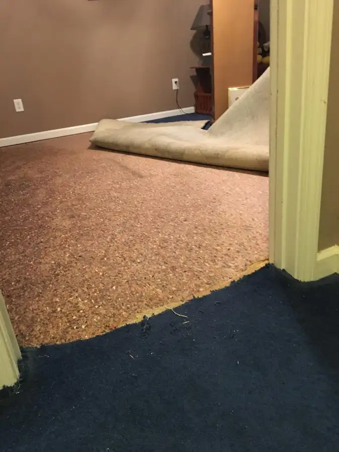 Carpet pad removal revealing water damage during Drying & Dehumidification in Thonotosassa
