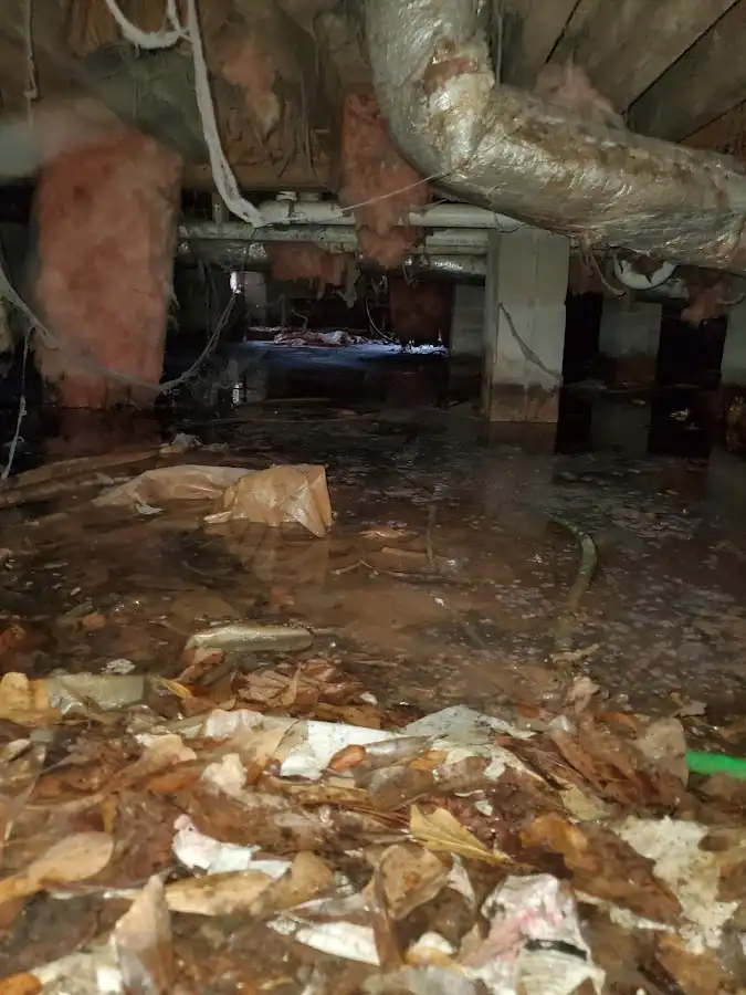 Crawl space flood assessment for Leak Detection & Repair in Thonotosassa
