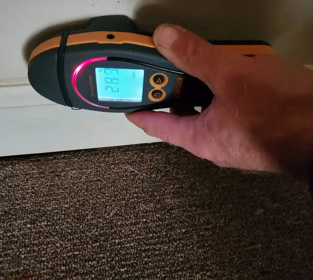 Moisture detection at baseboard during Storm Damage Restoration in Thonotosassa