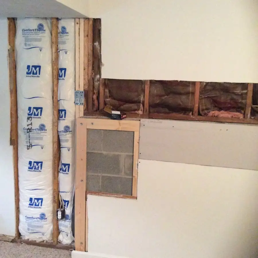 Wall insulation replacement during Odor Removal & Deodorization in Thonotosassa